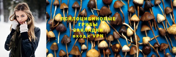 твердый Корсаков