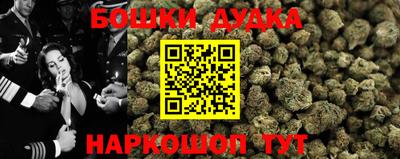 сатива Заволжье