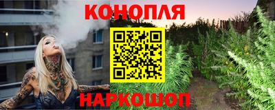 сатива Заволжье