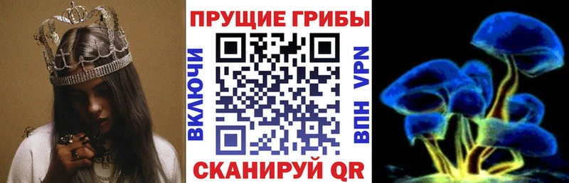 гидра tor  Лесозаводск  Псилоцибиновые грибы Psilocybe 